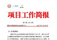 项目工作简报