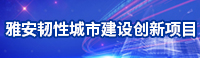  雅安韧性城市建设创新项目 