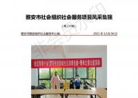 社会服务项目活动风采集锦第二百七十期