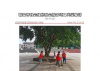 社会服务项目活动风采集锦第四百期