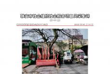 社会服务项目活动风采集锦第四百三十三期