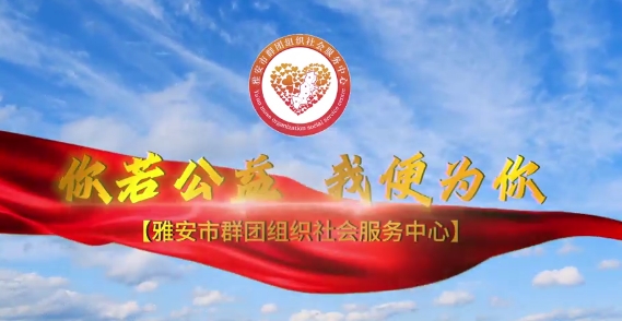 2025年度第一期社会组织公益沙龙