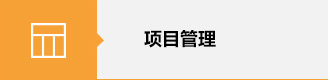 项目管理