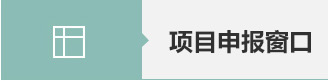 项目实施查询