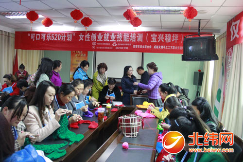 技术在手 妇女居家就业有出路 宝兴县开展女性技能培训引导妇女创业
